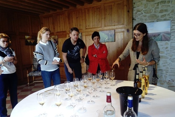 Private Tour in the Sauternes Wine Region - Discover Bordeaux Sweet Crus Classés - Tour Details