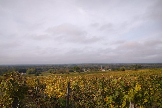 Private Tour in the Sauternes Wine Region - Discover Bordeaux Sweet Crus Classés - Reviews and Testimonials