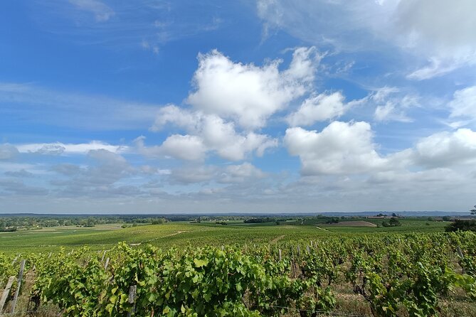 Private Tour in the Sauternes Wine Region - Discover Bordeaux Sweet Crus Classés - Bordeauxs Sweet Wines