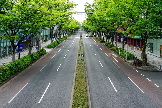 Private Tour in Tokyo With Shopping - Meeting and Pickup Information