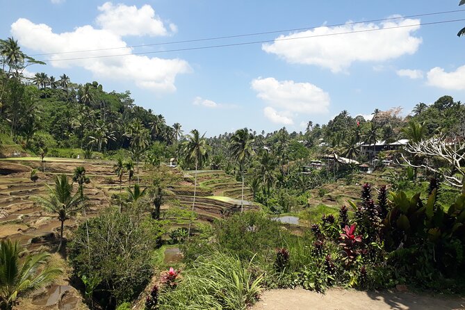 Private Tour in Ubud Country Side - Meeting and Pickup
