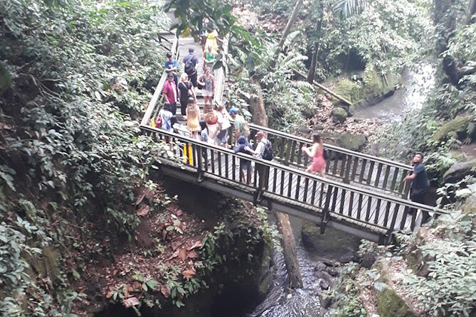 Private Tour in Ubud Country Side - Reviews