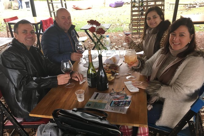 Private Tour in Vale Dos Vinhedos in Bento Gonçalves RS - Featured Highlights