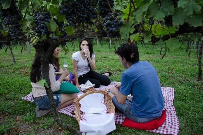 Private Tour in Vale Dos Vinhedos in Bento Gonçalves RS - Inclusions and Amenities