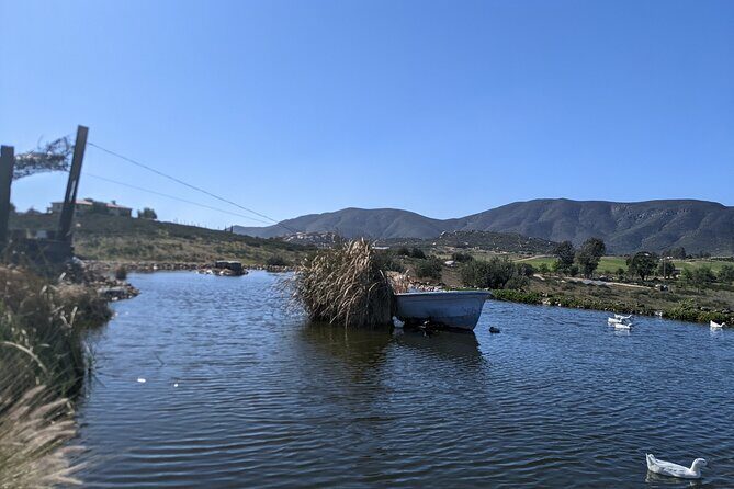 Private Tour in Valle De Guadalupe - Transportation and Logistics