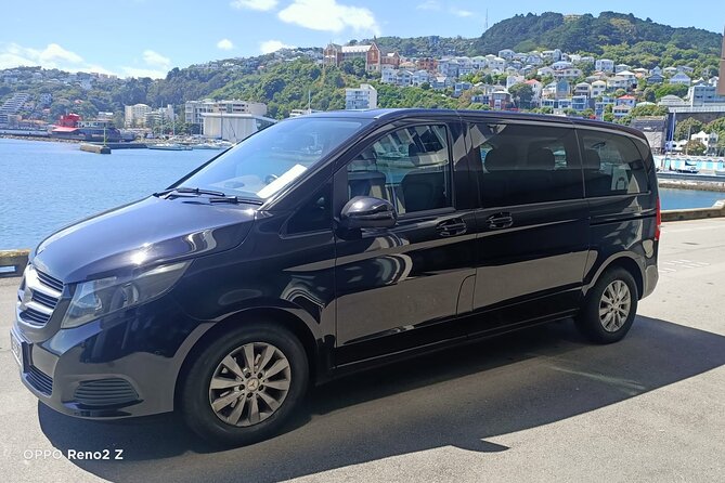 Private Tour in Wellington - Exploring Wellingtons Highlights