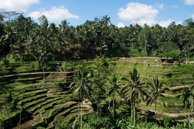 Private Tour: Incredible 6 Days Bali Tour Package With Airport Transfer - Pickup Information