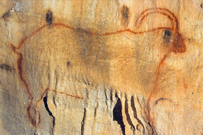 Private Tour Into an Original Prehistoric Cave by EXPLOREO SARLAT - Additional Information