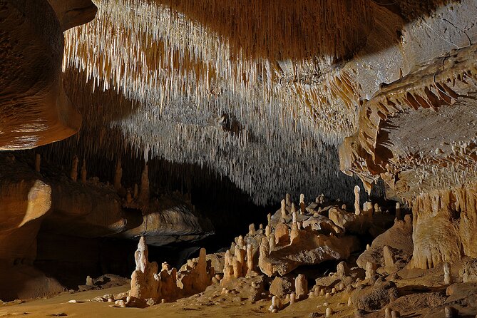 Private Tour Into an Original Prehistoric Cave by EXPLOREO SARLAT - Booking Details