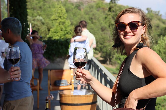 Private Tour: Isla De Maipo for Wine Lovers - Inclusions