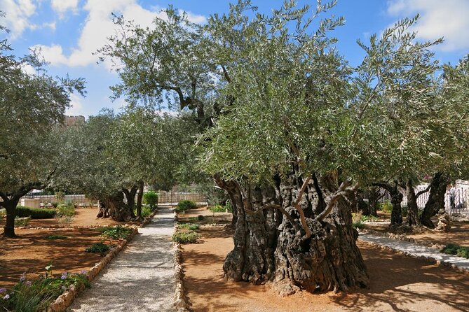 Private Tour : Jerusalem Old City Day Trip From Jerusalem - Pickup and Drop-off
