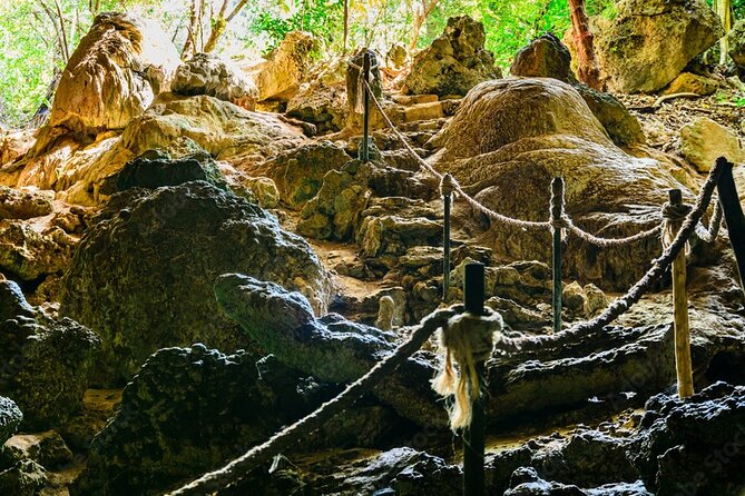 Private Tour Jozani Forest, Dolphin Watching and Kuza Cave - What to Expect