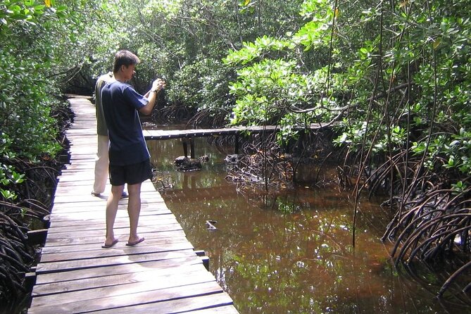 Private Tour Jozani Forest, Dolphin Watching and Kuza Cave - Booking and Cancellation