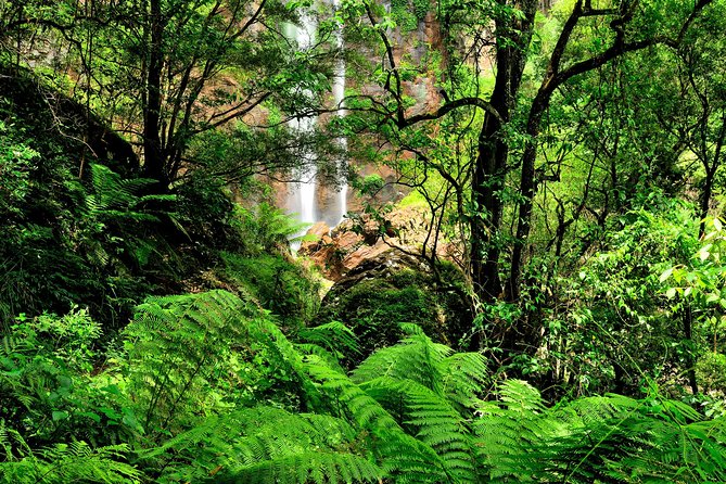 Private Tour - Juan Curí Waterfalls (Nature) - Recap