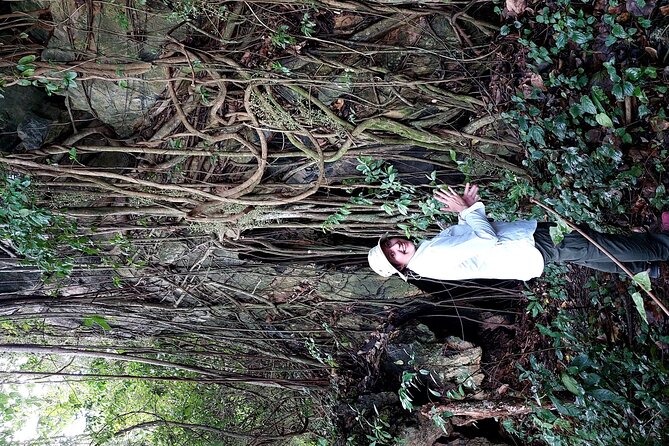 Private Tour: Kampot Countryside, Pepper Farm, Kep/Crab Market - Traveler Feedback