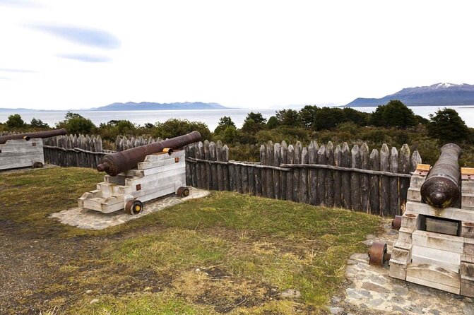 Private Tour King Penguin Park From Punta Arenas - Key Points