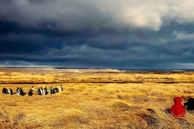 Private Tour King Penguin Park From Punta Arenas - Entrance to Park