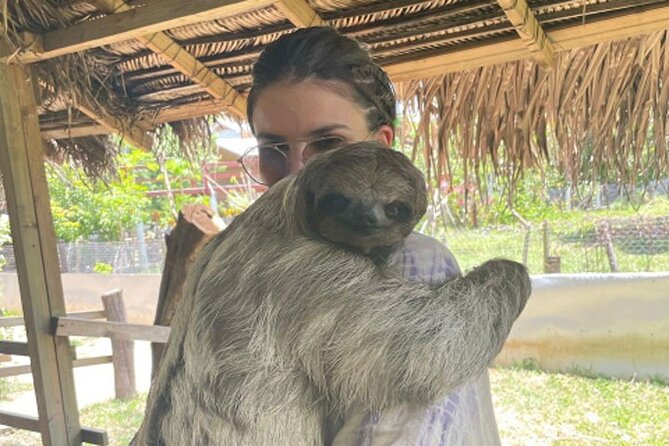 Private Tour Knowing Roatan With Professional Guide - Pricing and Inclusions