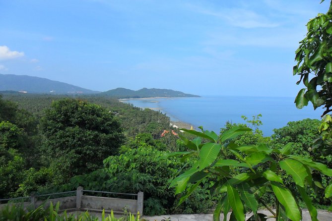 Private Tour Koh Samui - Personalized Experiences