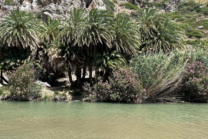 Private Tour Kourtaliotiko Gorge and Preveli Beach /Chania - Cancellation and Reservation Policy
