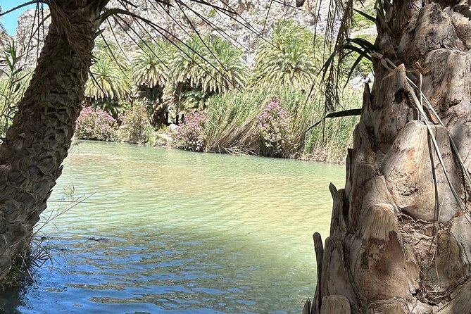 Private Tour Kourtaliotiko Gorge and Preveli Beach /Chania - Exploring Kourtaliotiko Gorge