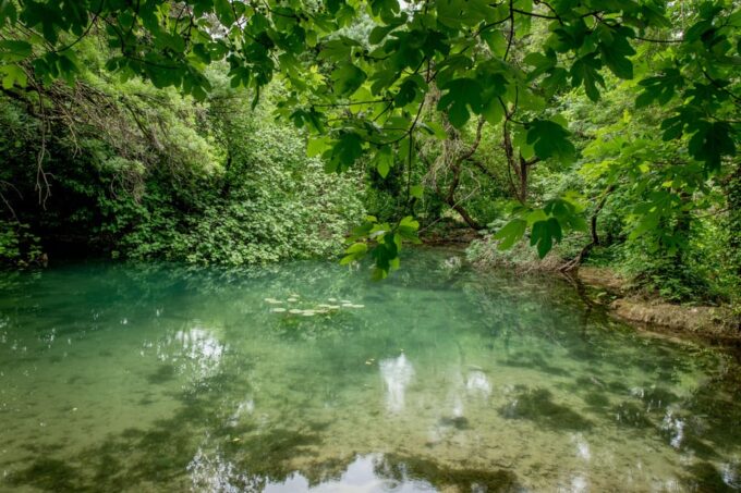 Private Tour Krka Waterfalls and Wine Tasting - Activities