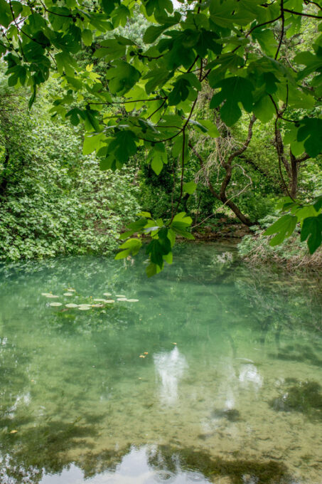 Private Tour Krka Waterfalls and Wine Tasting - Return