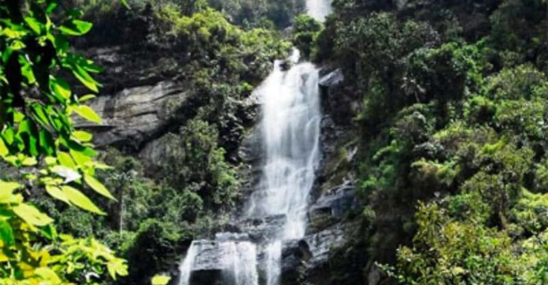 Private Tour La Chorrera to the Highest Waterfall Colombia - Tour Highlights