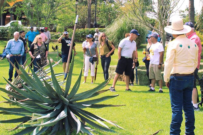 Private Tour La Fortaleza Distillery and Visit to Tequila - Memorable Experiences and Positive Feedback