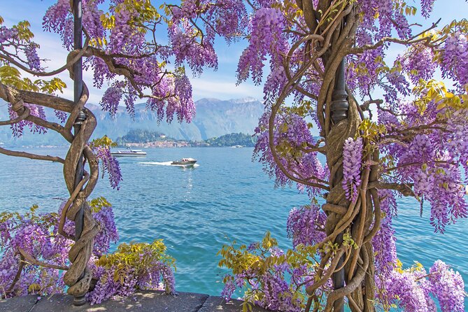 Private Tour: Lake Como From Milan With Private Driver and Boat - Accessibility and Amenities