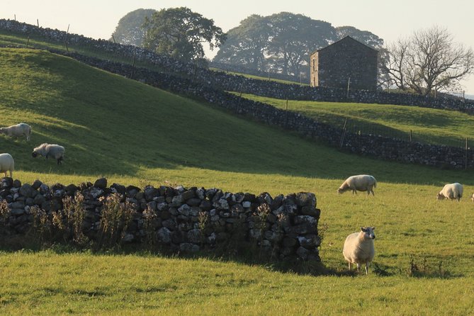Private Tour: Lake District From York in 16 Seater Minibus - Tour Logistics