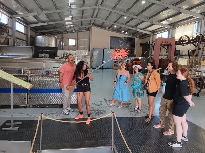Private Tour Lasithi Zeus Cave Olive Oil Factory &Shepherd - Highlights