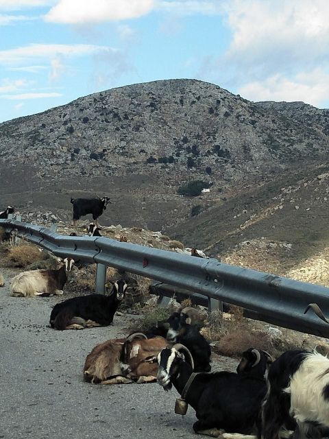 Private Tour Lasithi Zeus Cave Olive Oil Factory &Shepherd - Exclusions