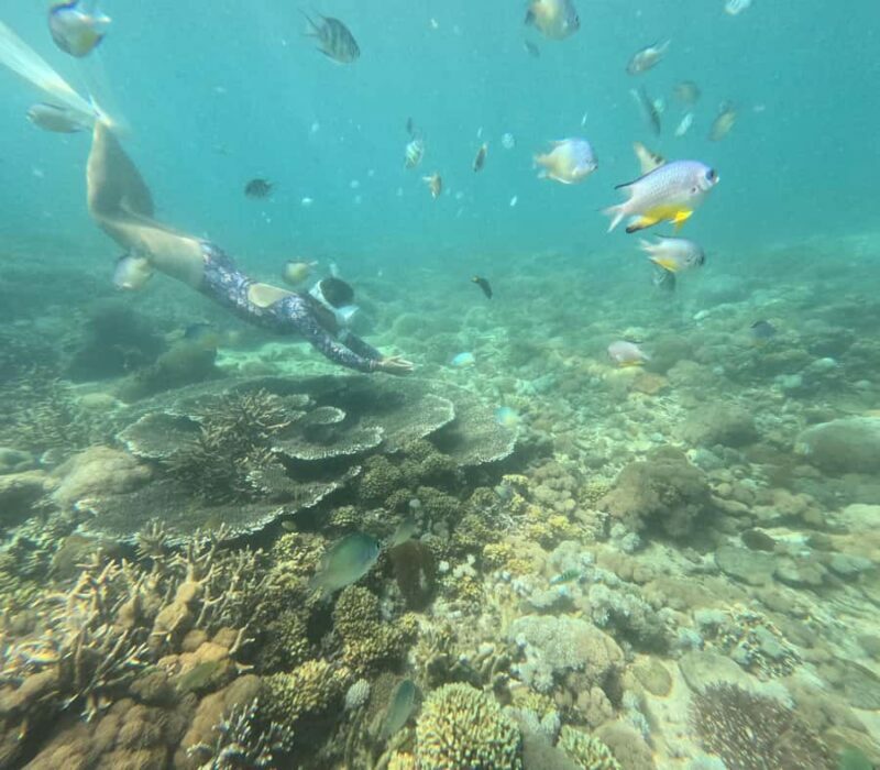 Private Tour Lombok Pink Beach and Snorkeling - An Authentic Day on Lombok’s Coastline