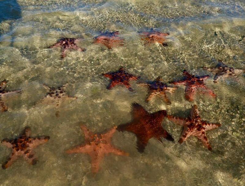 Private Tour Lombok Pink Beach and Snorkeling - Lunch and Relaxation