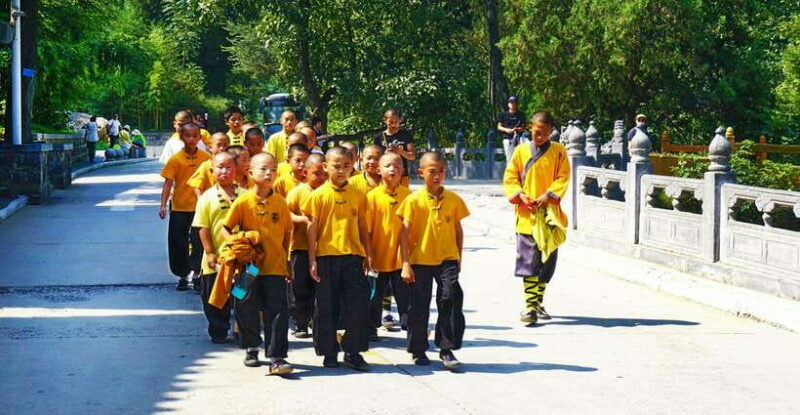 Private Tour: Longmen Grottoes, Shaolin Temple & Kungfu Show - What to Expect on the Tour