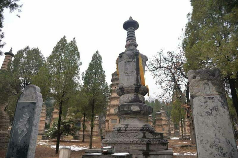 Private Tour: Longmen Grottoes, Shaolin Temple & Kungfu Show - Final Thoughts