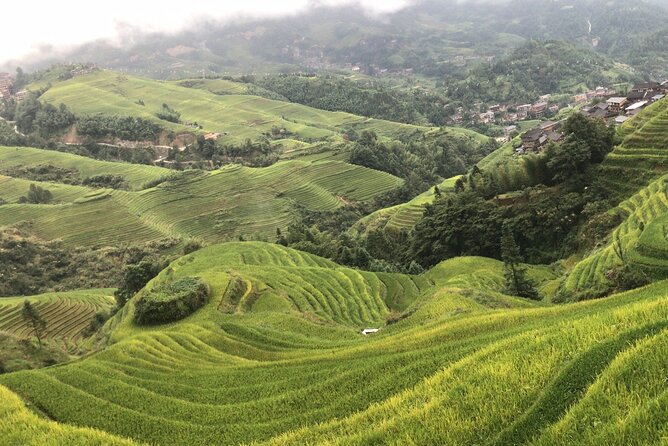 Private Tour: Longsheng Culture and Longji Rice Terraces - Cultural Immersion