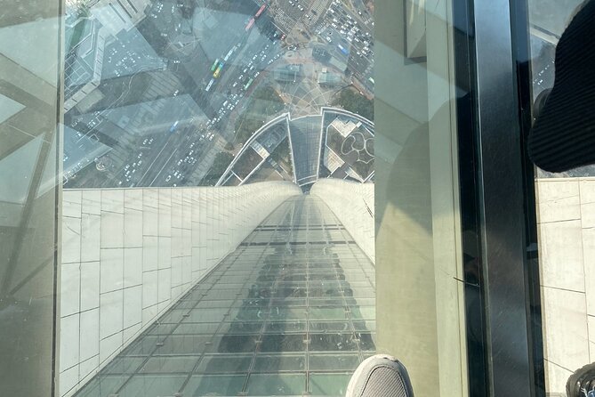 Private Tour Lotte World,Tower,Aquarium(All Tickets Are Included) - Lotte Tower Experiences
