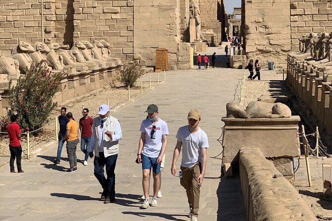 Private Tour: Luxor East Bank, Karnak and Luxor Temples - Customer Reviews and Feedback