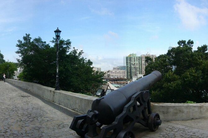 Private Tour: Macau Day Trip From Hong Kong - Inclusions and Requirements