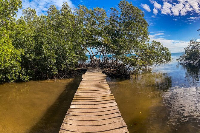 Private Tour Magic Mangrove Paddle in Beef Island Lagoon - About Your Stay