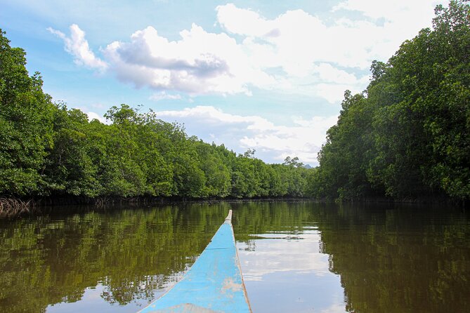 Private Tour Magic Mangrove Paddle in Beef Island Lagoon - Additional Information