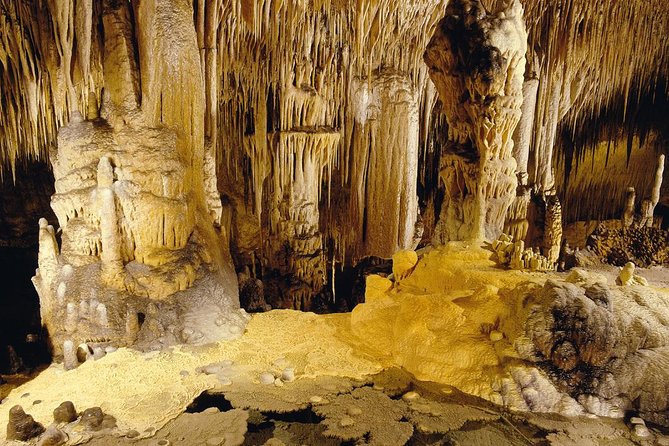 Private Tour: Mallorca Caves of Drach and Majorica Pearl Factory - Tour Inclusions and Exclusions