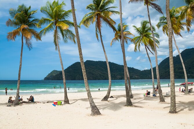 Private Tour Maracas Beach From Port of Spain - About Your Stay