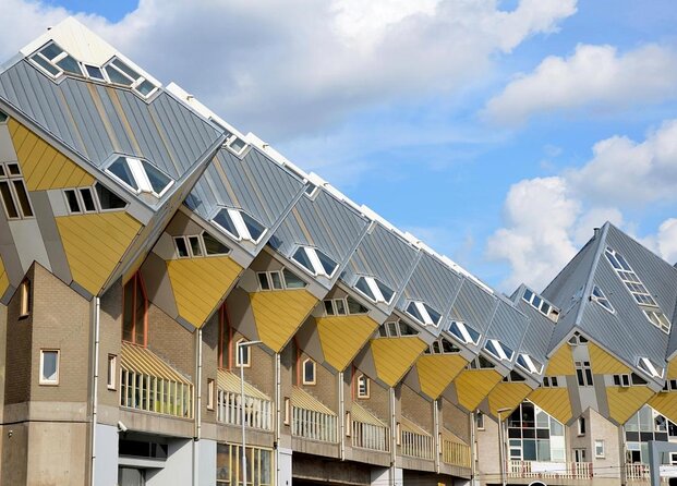 Private Tour: Markthal, Cube Houses and Rooftop Het Witte Huis - Key Points