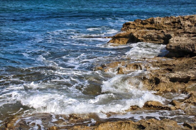 Private Tour Marzamemi and Natural Reserve Vendicari - Vendicari Nature Reserve