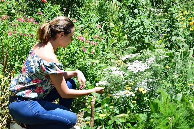 Private Tour: Medellins Flower Culture & the Silletero Tradition of Santa Elena - Key Points
