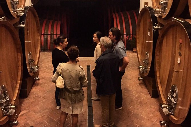 Private Tour: Montalcino Wine Tasting Experience - Culinary Delights Included