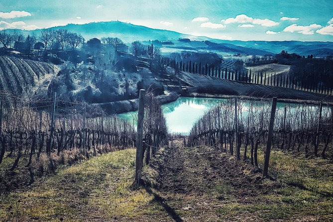 Private Tour: Montalcino Wine Tasting Experience - Meeting and Pickup Options